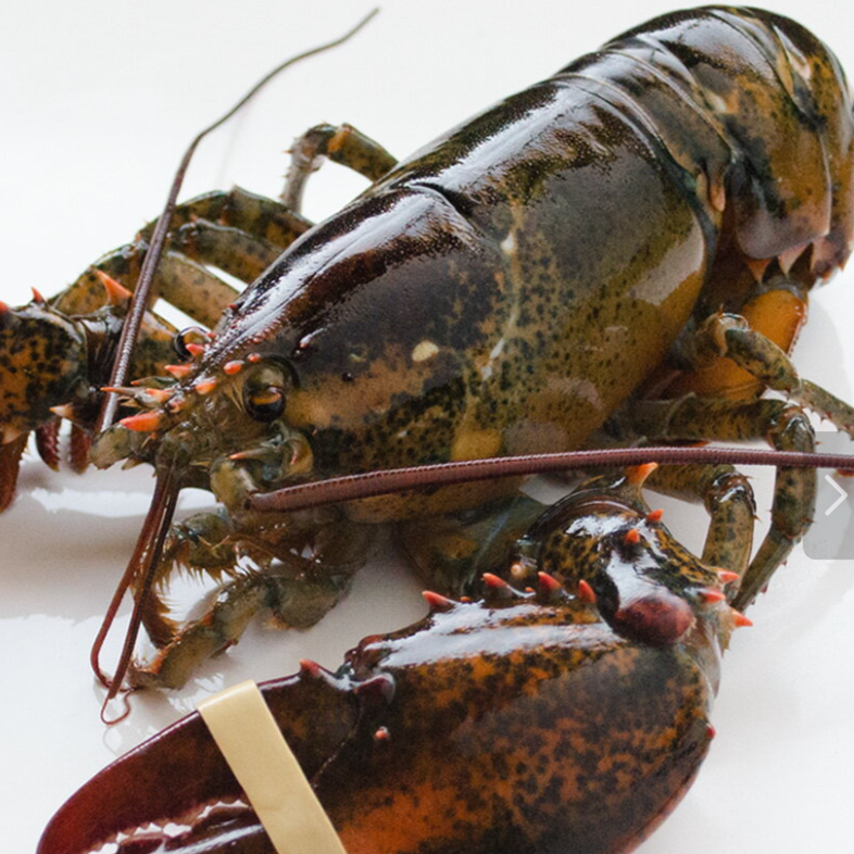 エスケイ・インターナショナル株式会社