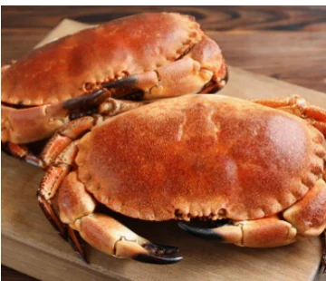 アイルランド産ブラウンクラブ（Brown Crab／Cancer pagurus）